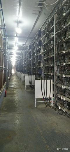 A vast warehouse filled with rows upon rows of Bitcoin mining rigs, humming with computational power.