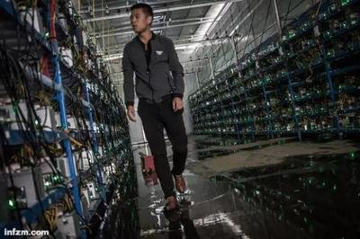 A well-organized mining farm setup