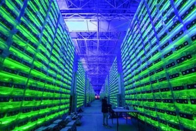A large-scale Bitcoin mining farm operating in Mexico