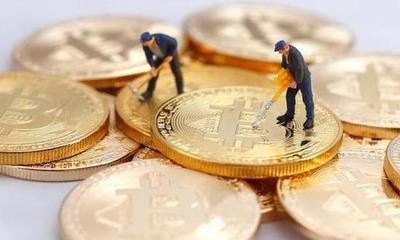 Expansive mining farm infrastructure supporting diverse crypto mining operations