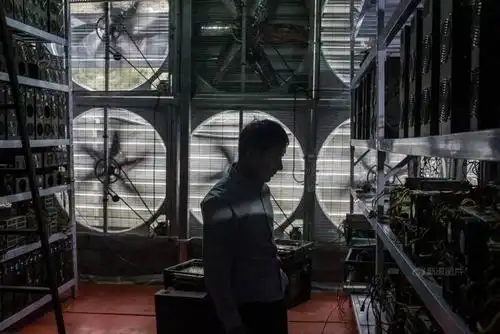 A detailed view of a modern mining rig setup in an Australian hosting facility, emphasizing efficiency and reliability for crypto enthusiasts
