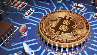 Bitcoin mining operation in a professional hosted farm